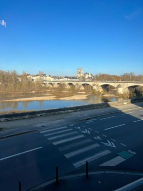 Cosy Loire, T2 neuf, front de Loire ,vue cathédrale,5min à pied centre ville et parking privé